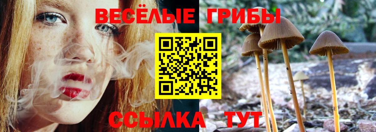 Галлюциногенные грибы GOLDEN TEACHER  Вход с VPN  Галлюциногенные грибы ЛСД  Ступино 
